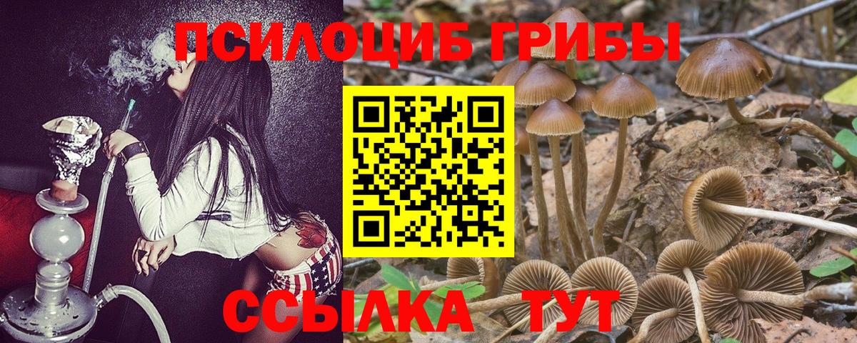 Псилоцибиновые грибы GOLDEN TEACHER  Вход с VPN  Красноуфимск 